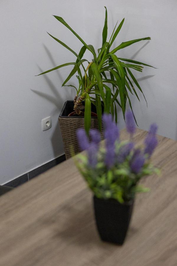 Apartman Toni スプリト エクステリア 写真